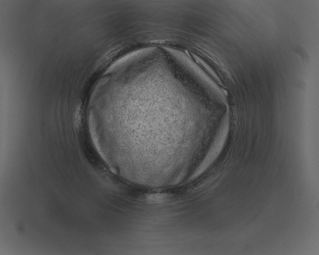 X0000116630216200912241819