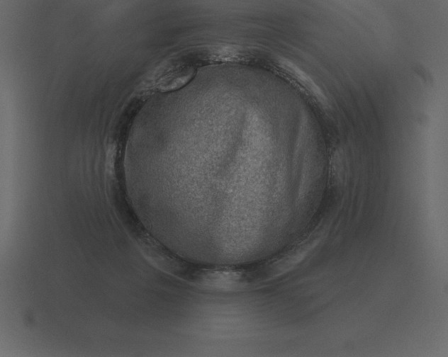 X0000116630217200912241818