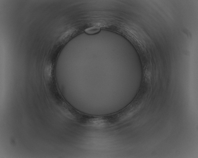 X0000116630219200912241818