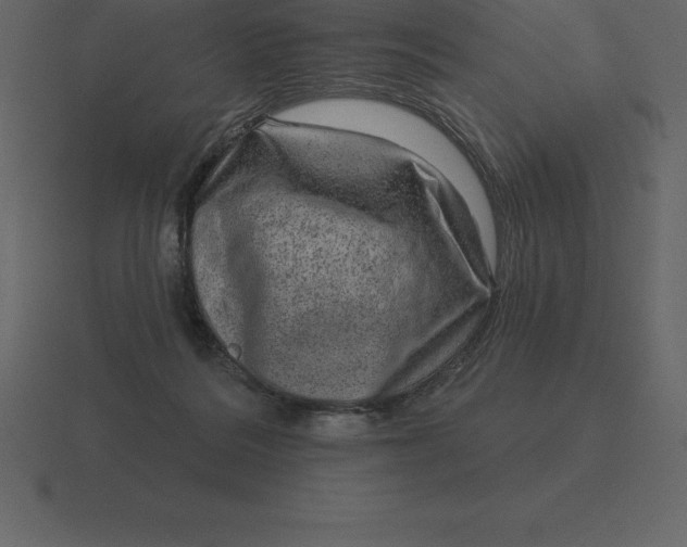 X0000116630220200912241818