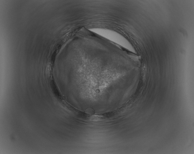 X0000116630222200912241818