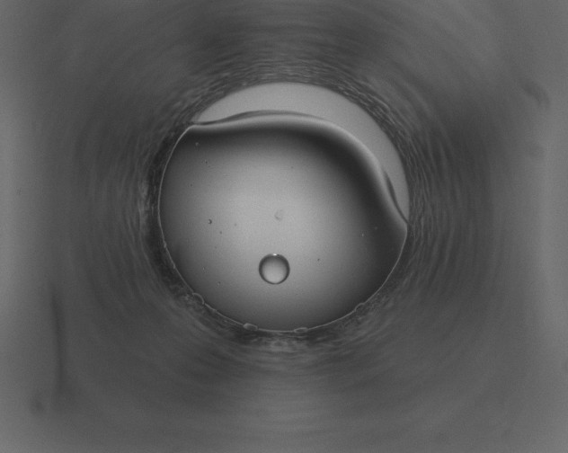 X0000116630223200912241818