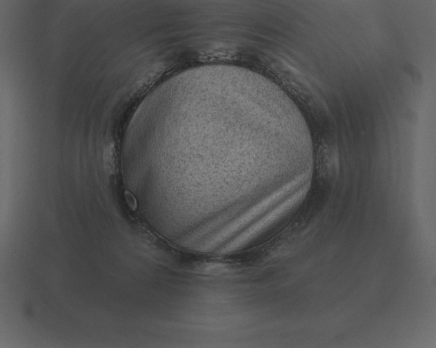 X0000116630224200912241818