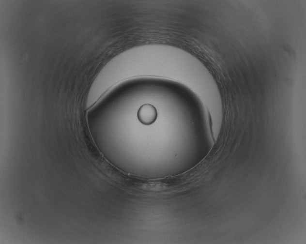 X0000116630225200912241818