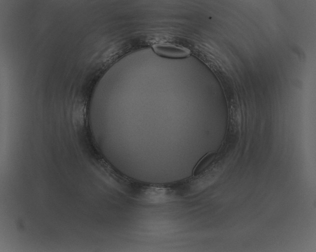 X0000116630227200912241818