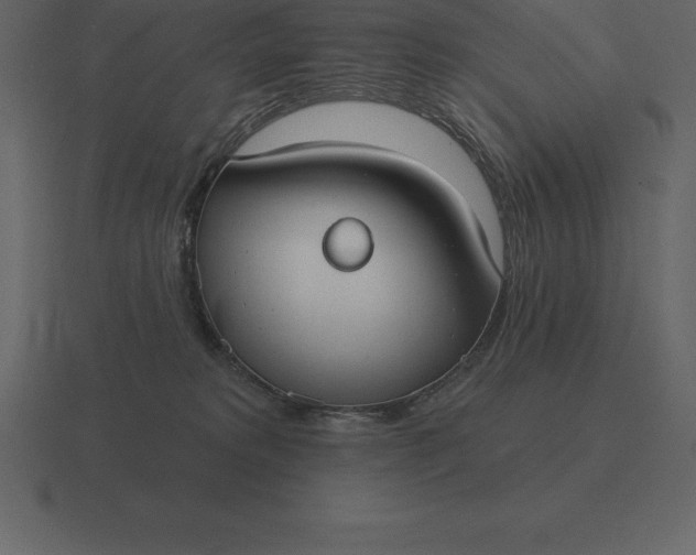 X0000116630229200912241818