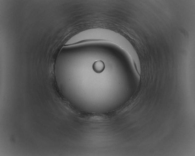 X0000116630236200912241818