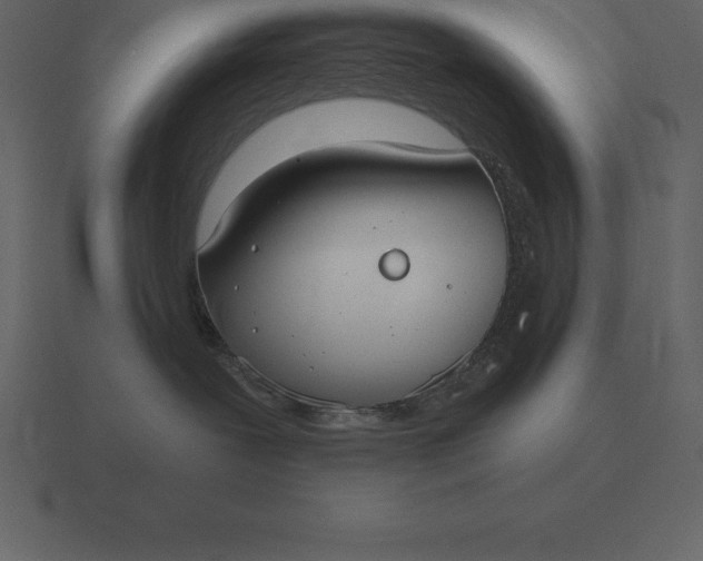 X0000116630239200912241818