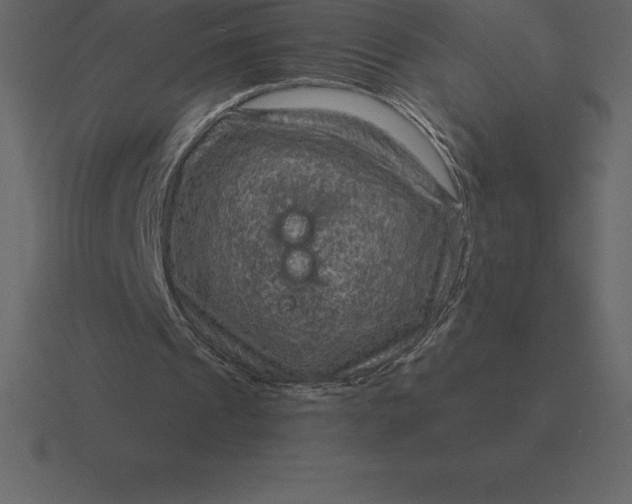 X0000116630241200912241818