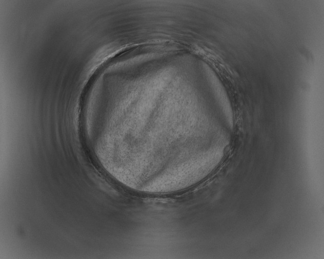 X0000116630242200912241818