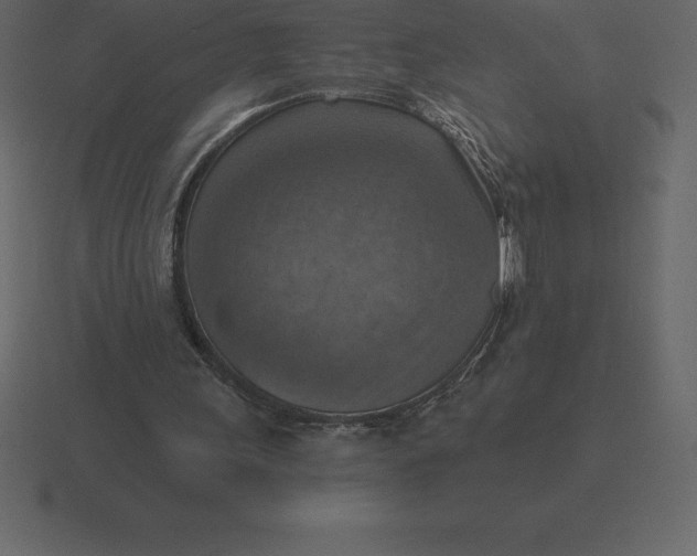 X0000116630243200912241818