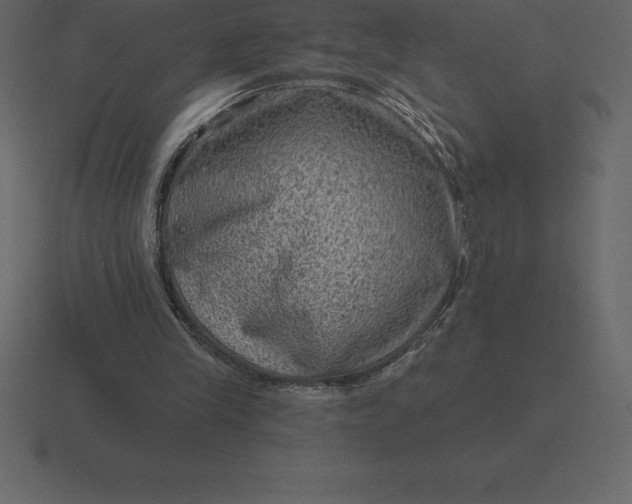 X0000116630245200912241818