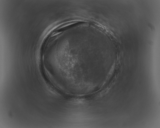 X0000116630247200912241818