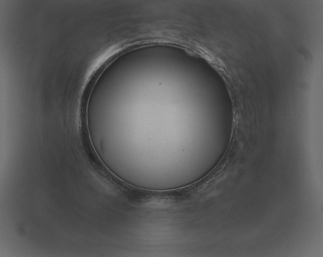 X0000116630248200912241818