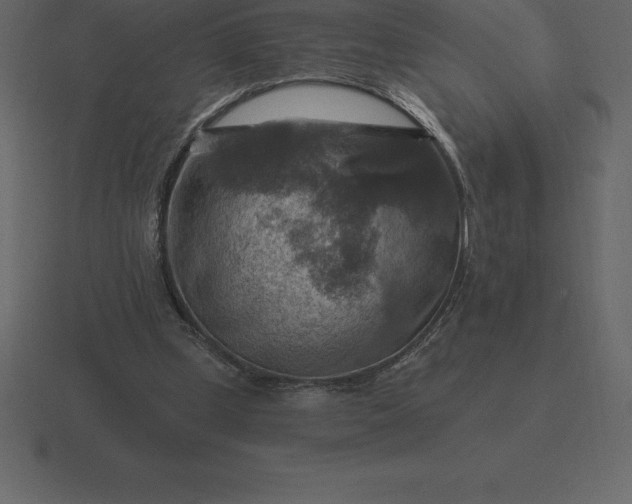 X0000116630249200912241818