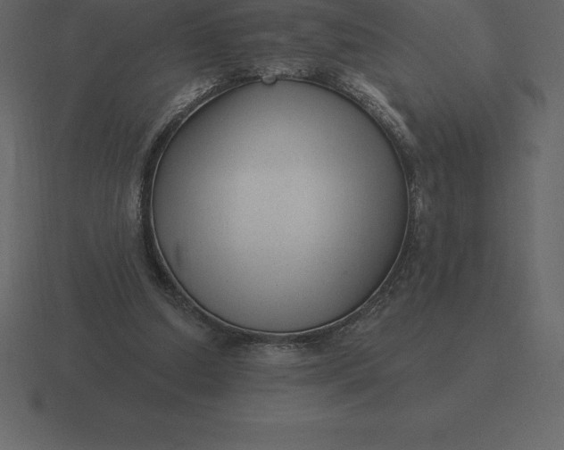 X0000116630250200912241818