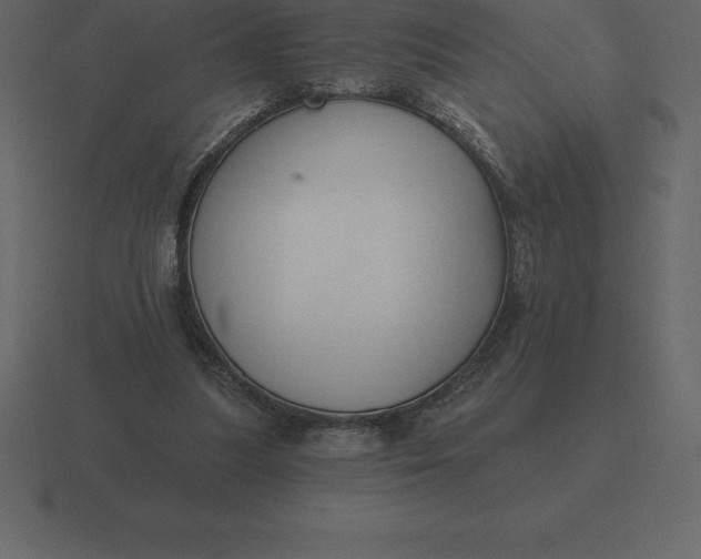 X0000116630251200912241818