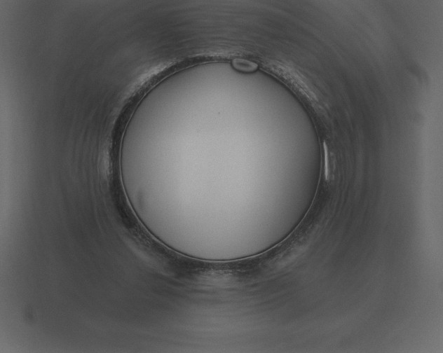 X0000116630252200912241818