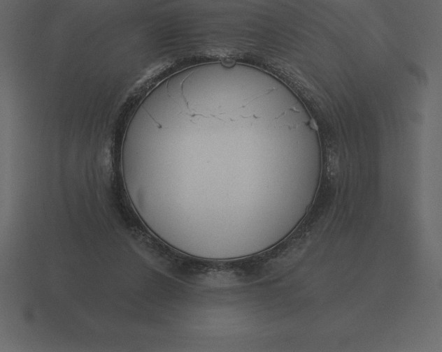 X0000116630256200912241818