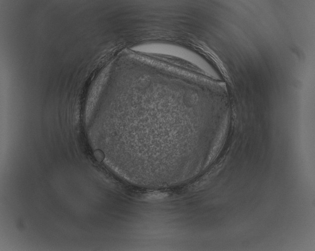 X0000116630257200912241818