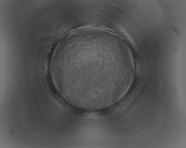 X0000116630259200912241818