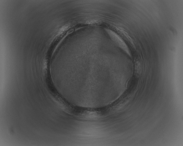 X0000116630260200912241818