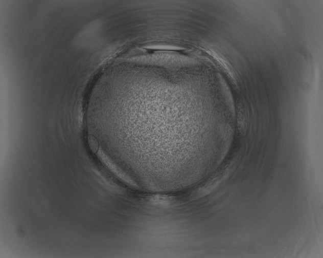 X0000116630261200912241818