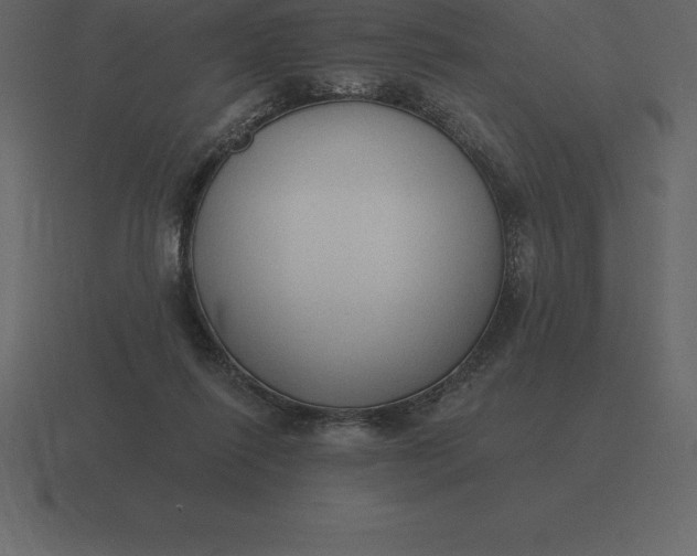 X0000116630262200912241818