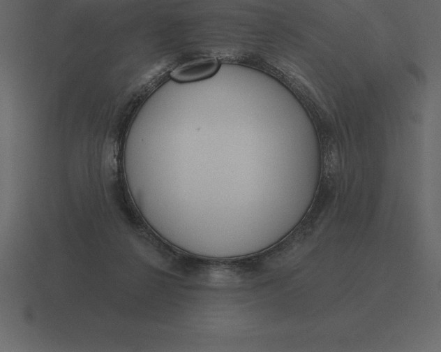 X0000116630264200912241818