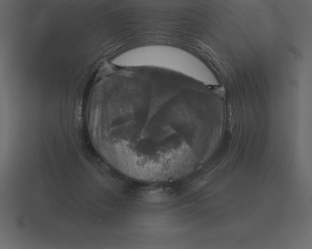 X0000116630267200912241818