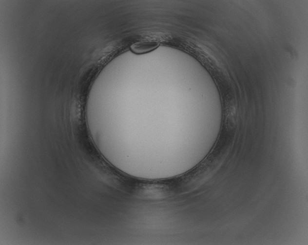 X0000116630268200912241818