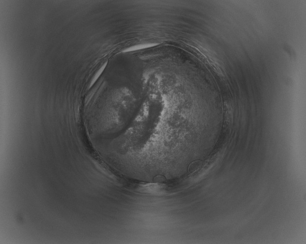 X0000116630269200912241818