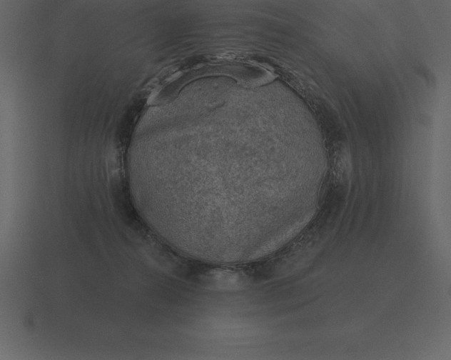 X0000116630272200912241818