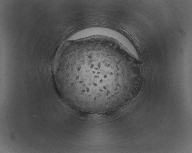 X0000116630273200912241818