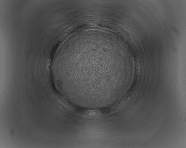 X0000116630275200912241818