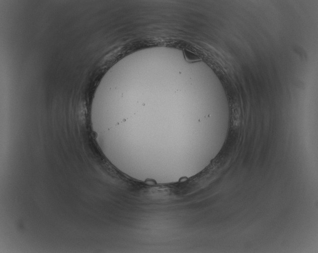 X0000116630279200912241818