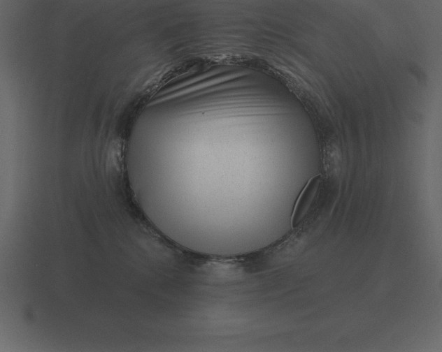 X0000116630280200912241818