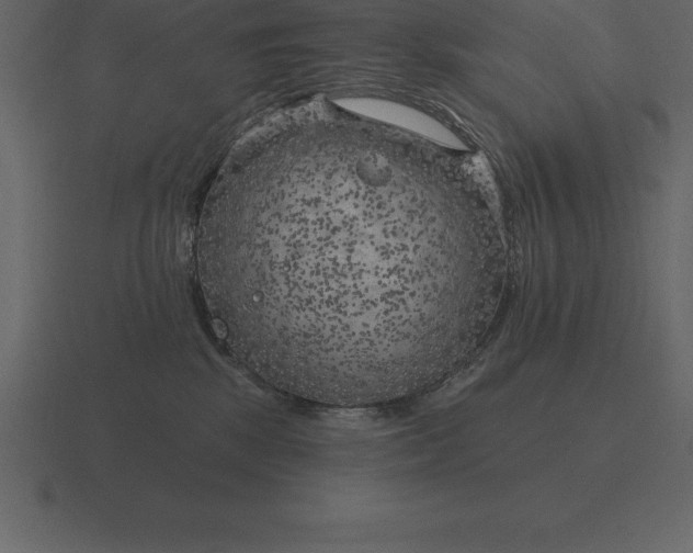 X0000116630281200912241818