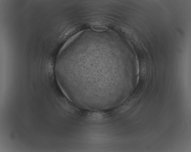 X0000116630282200912241818