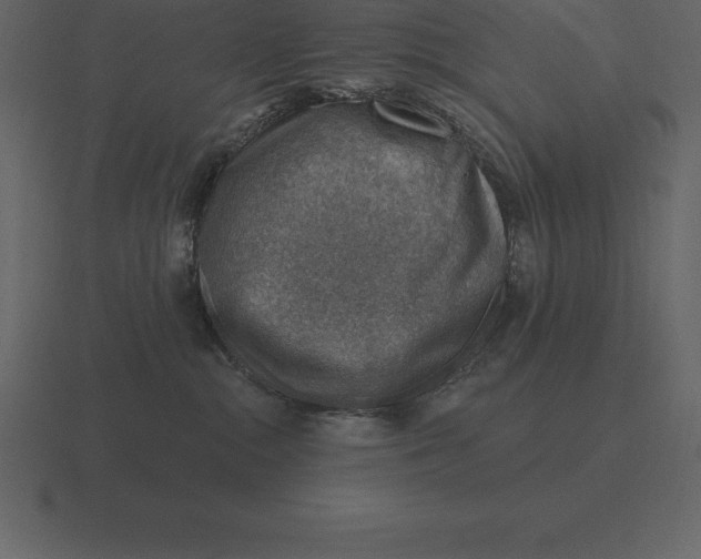 X0000116630284200912241818