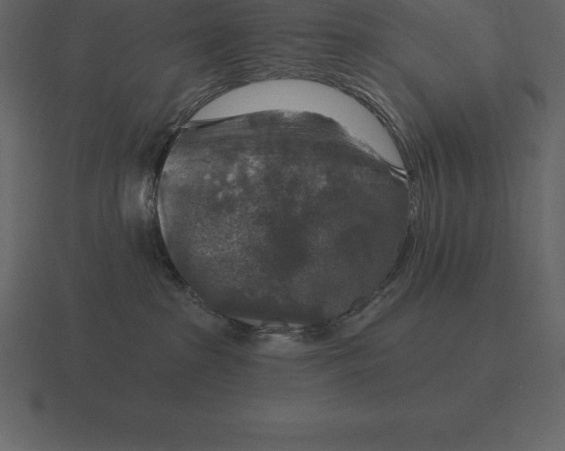 X0000116630285200912241818