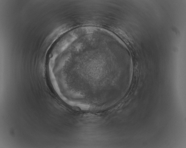 X0000116630290200912241818