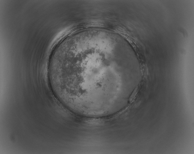 X0000116630293200912241818