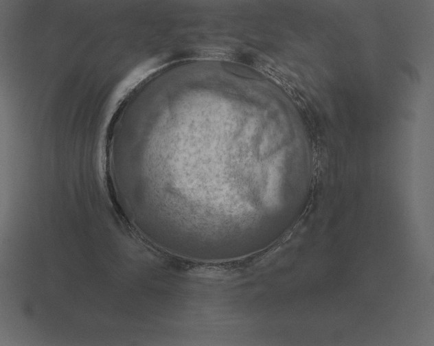 X0000116630294200912241818