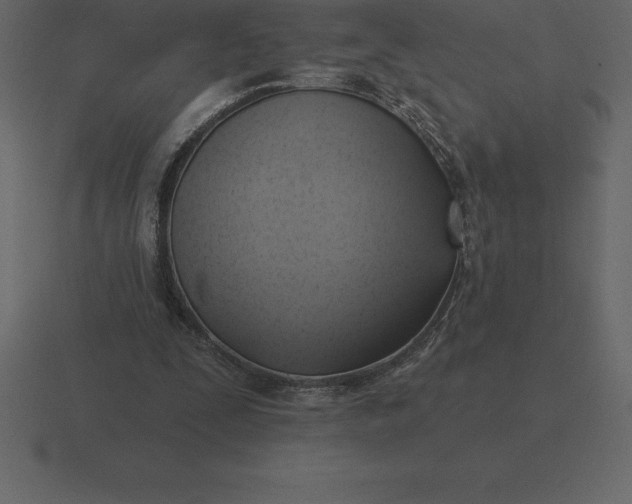 X0000116630295200912241818