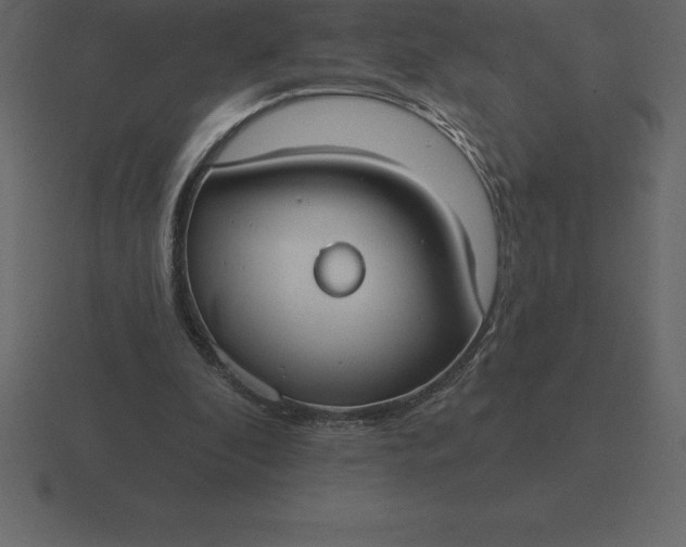 X0000116630296200912241817