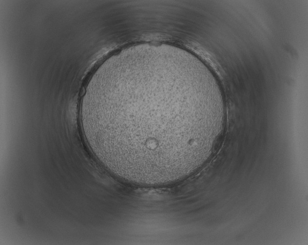 X0000116630297200912241817