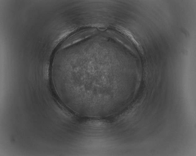 X0000116630299200912241817