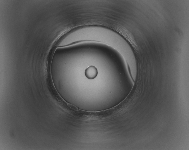 X0000116630300200912241817