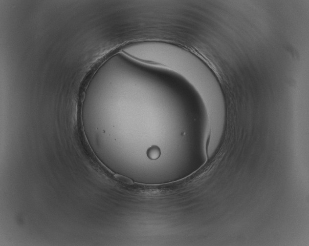 X0000116630301200912241817